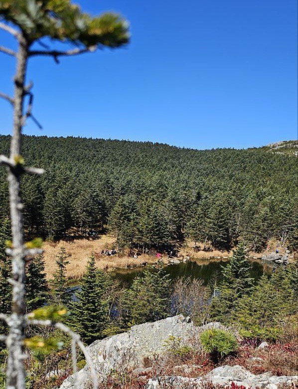 IMAGE 2025-10-09 121138.jpg